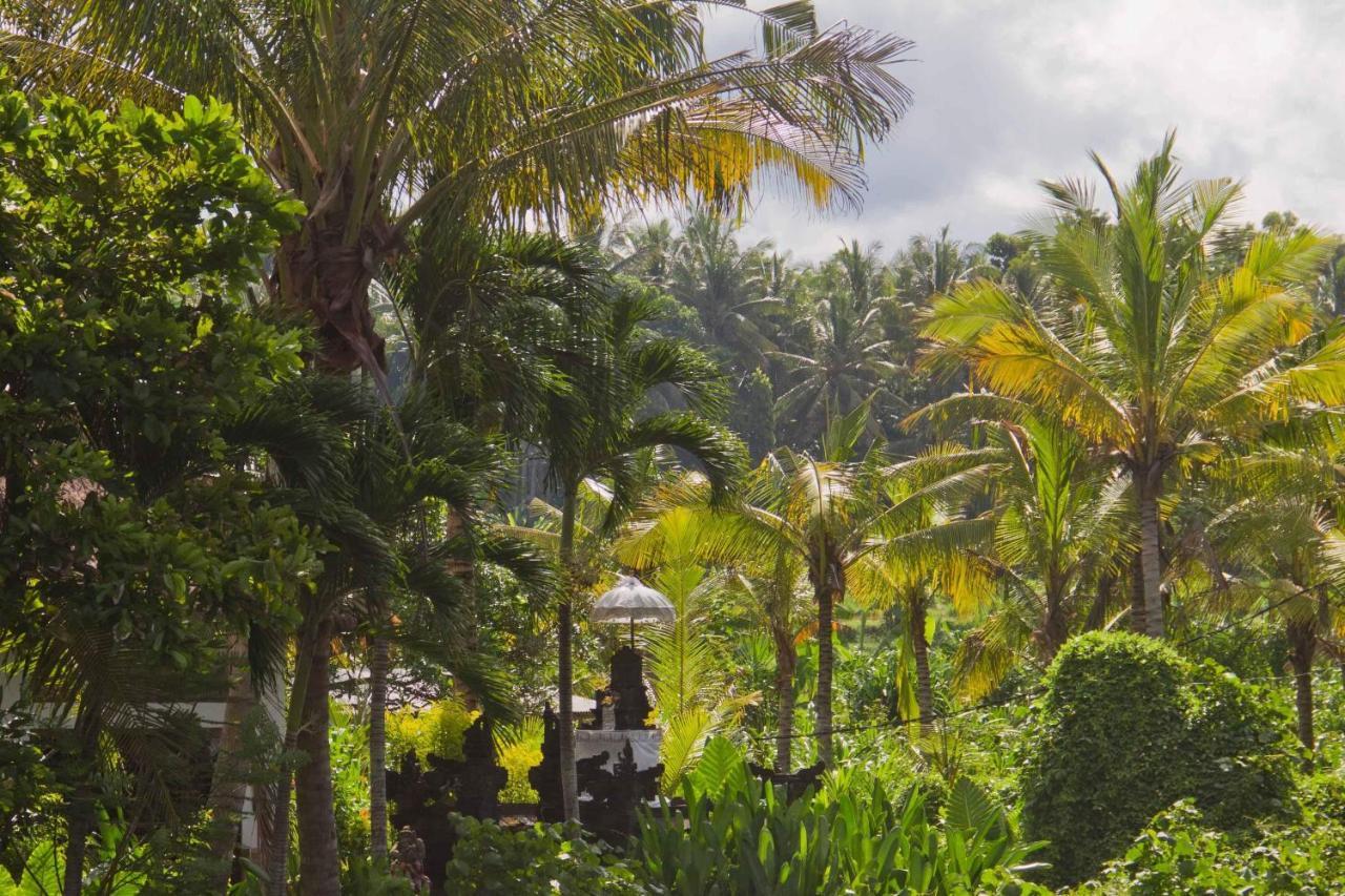 Jasri Dalem Surf Retreat Villa Exterior photo